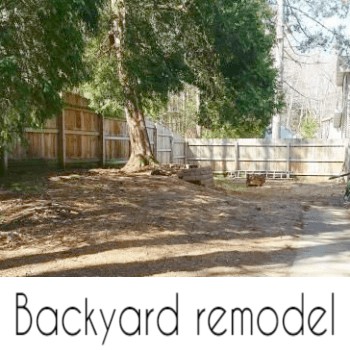 small backyard remodel
