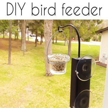 diy bird feeder