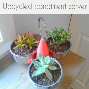 upcycled condiment server for succulents