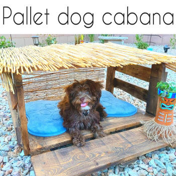 diy dog cabana from pallet