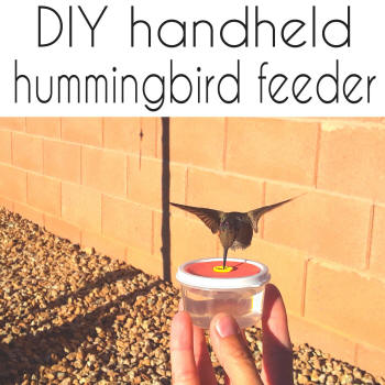 diy handheld hummingbird feeder