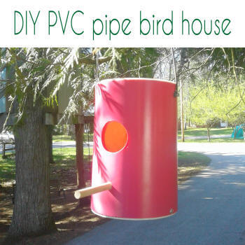 pvc pipe bird house