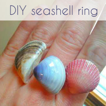 diy seashell ring