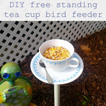 diy teacup bird feeder