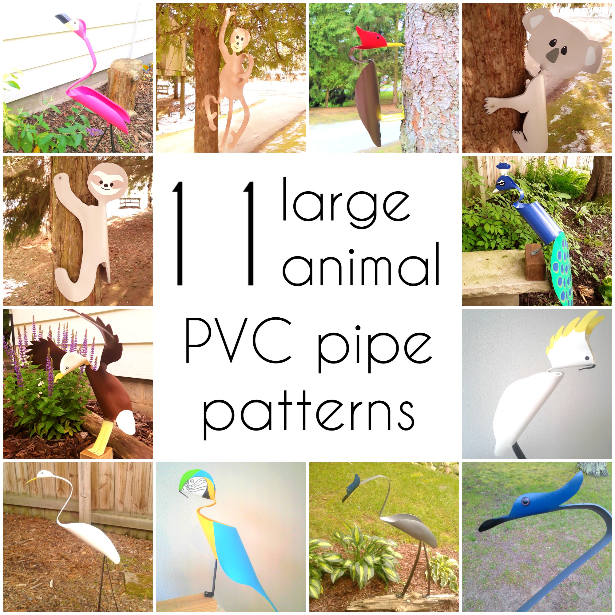 Printable PVC Pipe Bird Patterns Crazy Diy Mom